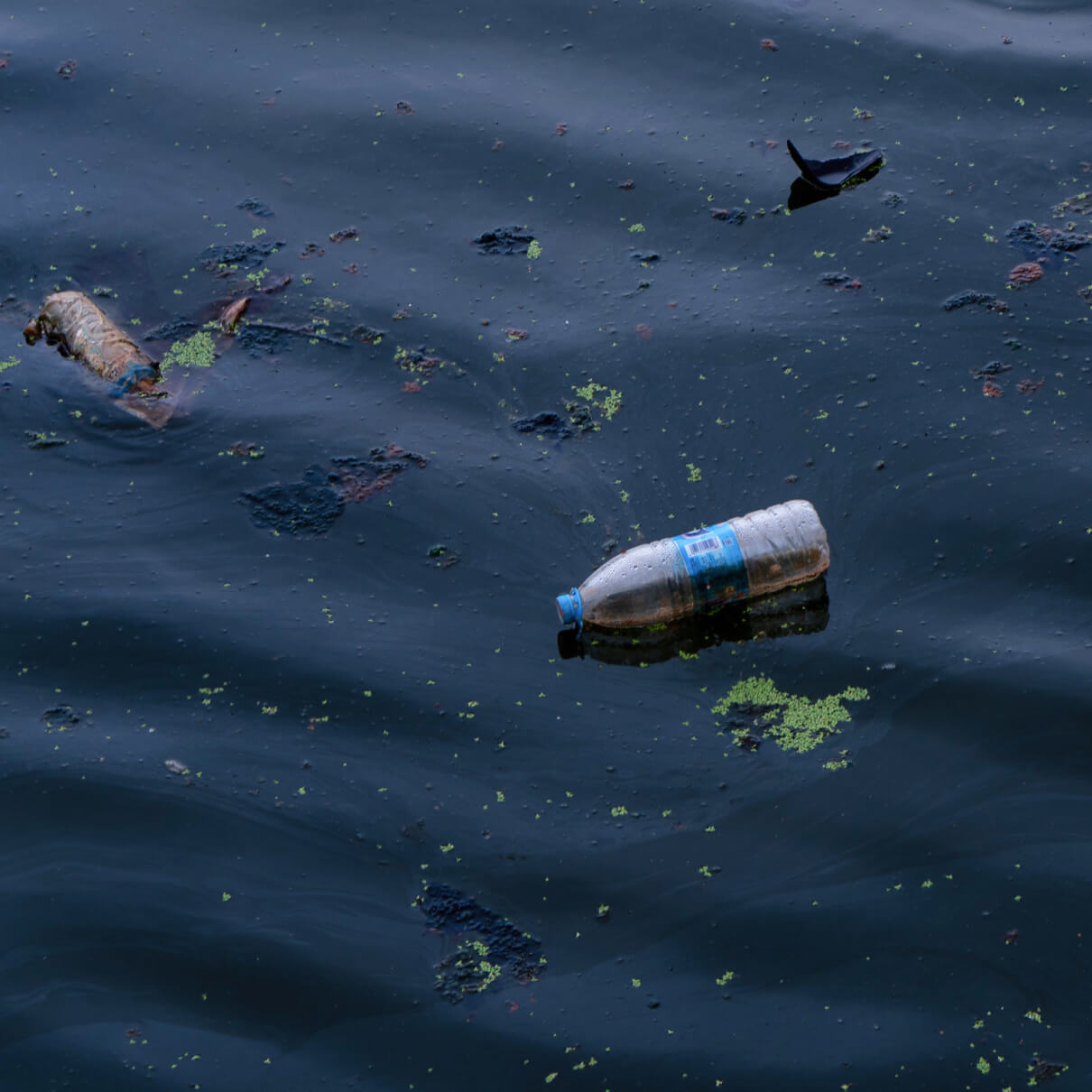 Nature is not a Commodity, rather it is a community to which we belong.