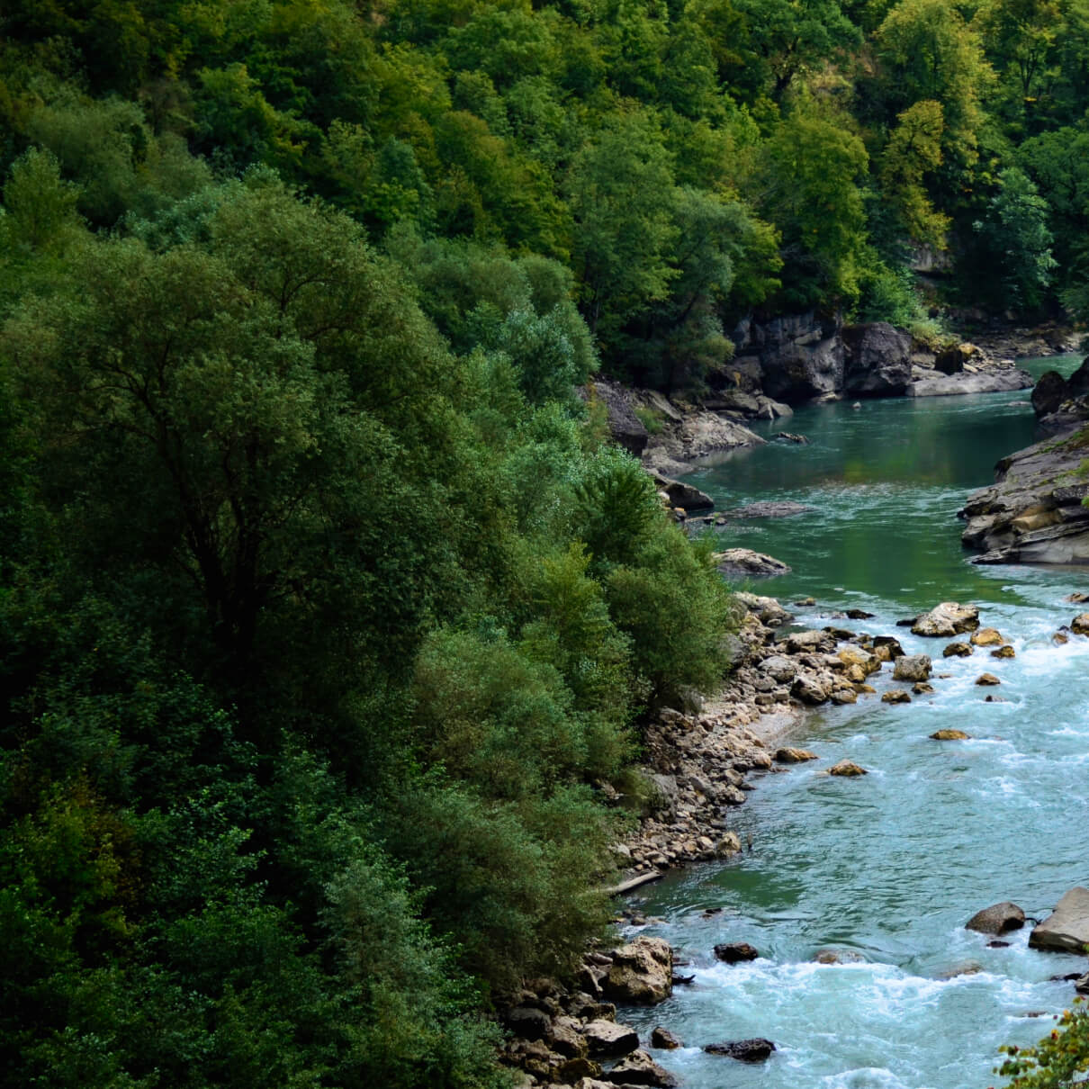 Emphasis on Spiritual & Ethical Imperative to protect & restore nature.