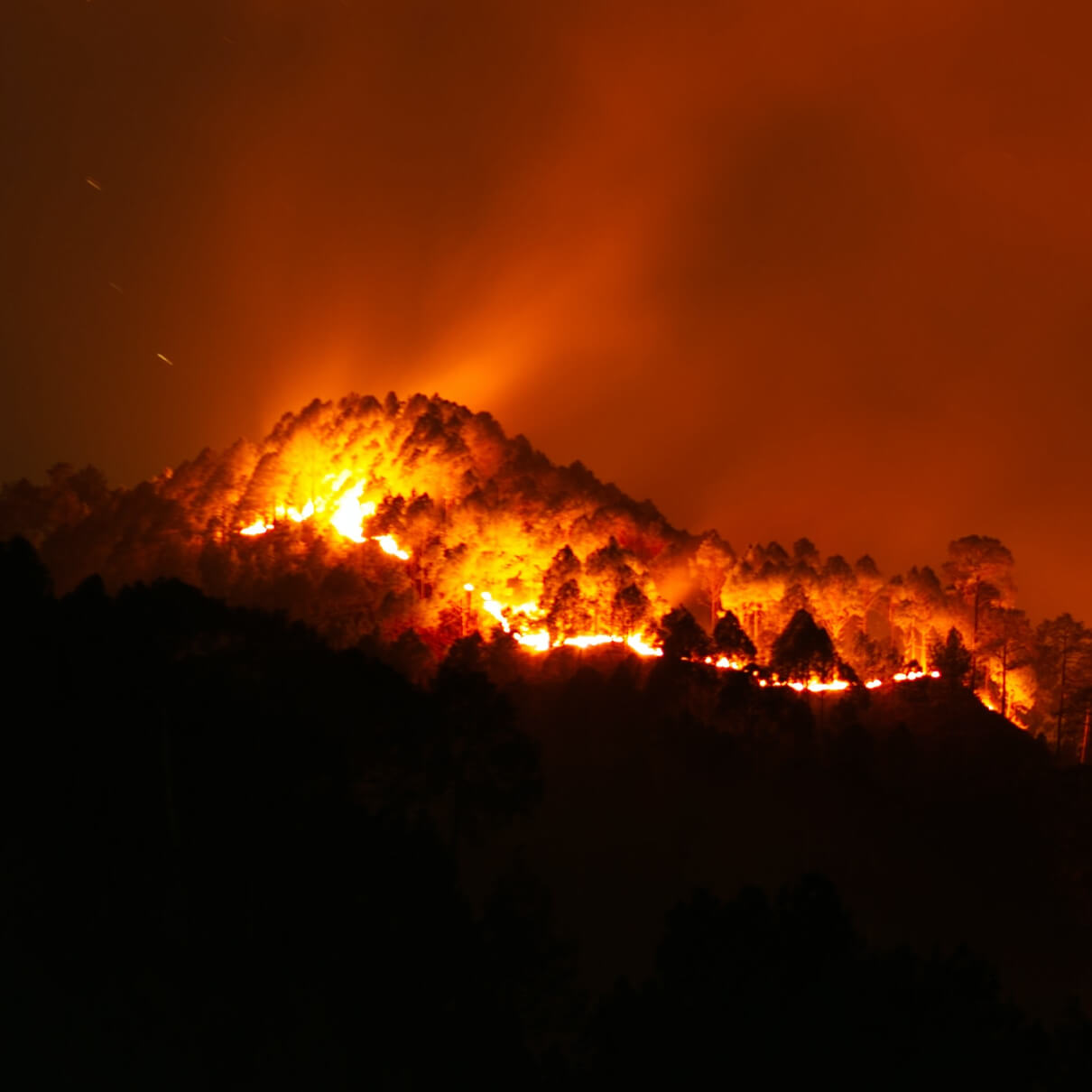 Environmental Sustainability and Responsible Resource Use