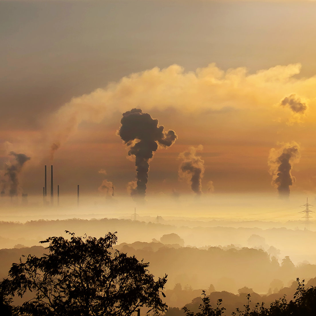 <span class="text-orange-50">Air pollution</span> causes up to 7 million deaths every year